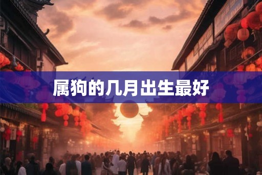 属狗的几月出生最好