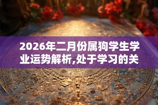 2026年二月份属狗学生学业运势解析,处于学习的关键阶段