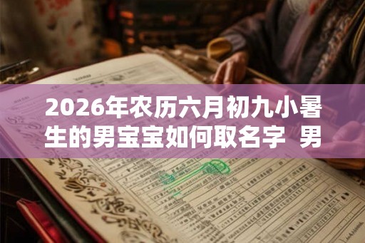 2026年农历六月初九小暑生的男宝宝如何取名字  男孩最佳名字