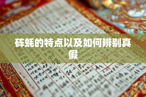 砗蚝的特点以及如何辨别真假
