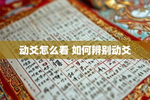 动爻怎么看 如何辨别动爻 动爻怎么看 如何辨别动爻