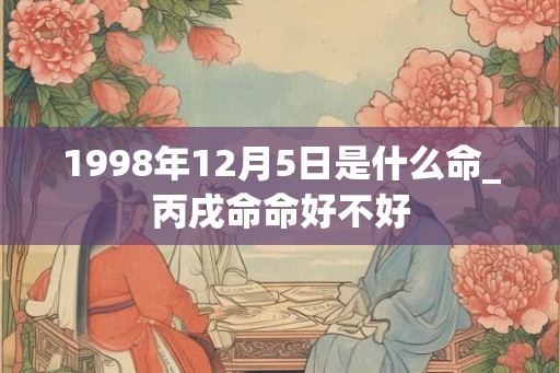 1998年12月5日是什么命_丙戌命命好不好