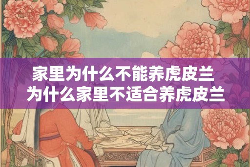 家里为什么不能养虎皮兰 为什么家里不适合养虎皮兰
