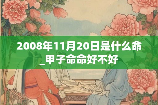 2008年11月20日是什么命_甲子命命好不好
