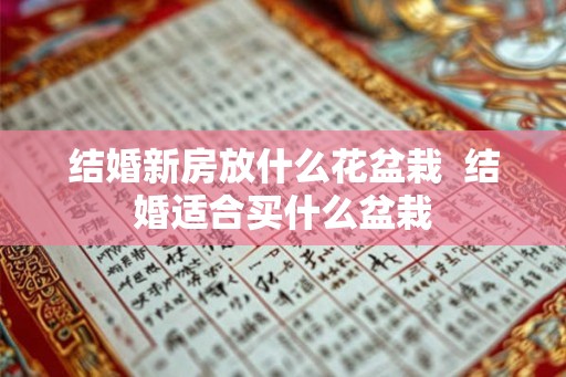 结婚新房放什么花盆栽 结婚适合买什么盆栽 结婚新房放什么花盆栽 结婚适合买什么盆栽
