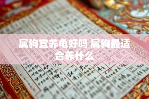 属狗宜养龟好吗 属狗最适合养什么