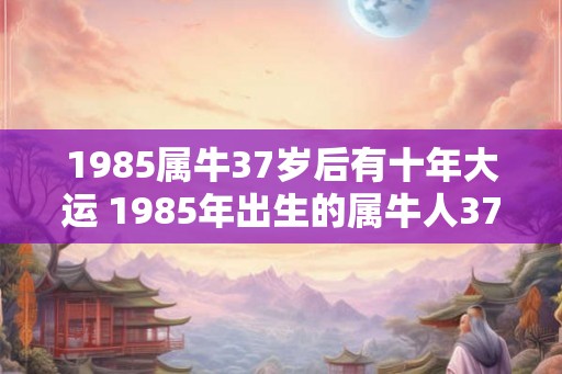 1985属牛37岁后有十年大运 1985年出生的属牛人37岁后有十年大运吗