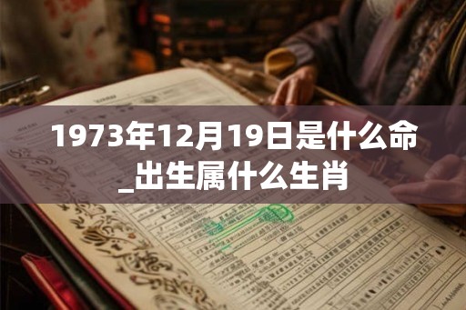 1973年12月19日是什么命_出生属什么生肖