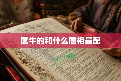 属牛的和什么属相最配