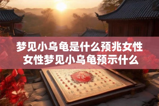 梦见小乌龟是什么预兆女性 女性梦见小乌龟预示什么