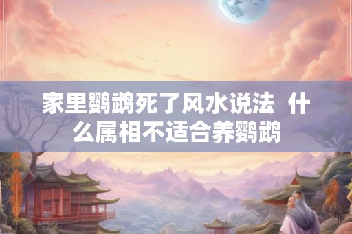 家里鹦鹉死了风水说法  什么属相不适合养鹦鹉