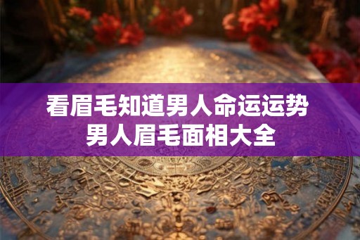 看眉毛知道男人命运运势 男人眉毛面相大全