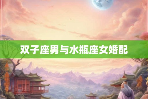 双子座男与水瓶座女婚配