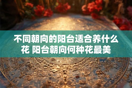 不同朝向的阳台适合养什么花 阳台朝向何种花最美
