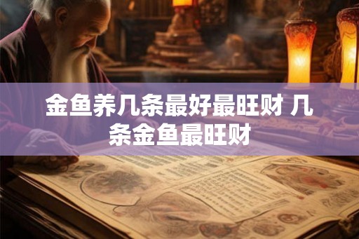 金鱼养几条最好最旺财 几条金鱼最旺财