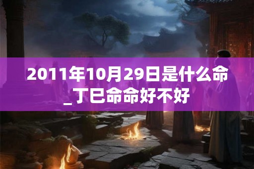2011年10月29日是什么命_丁巳命命好不好 2011年10月29日是什么命_丁巳命命好不好