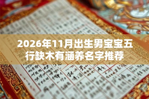 2026年11月出生男宝宝五行缺木有涵养名字推荐