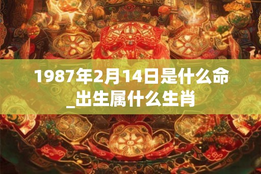 1987年2月14日是什么命_出生属什么生肖