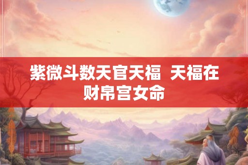 紫微斗数天官天福  天福在财帛宫女命
