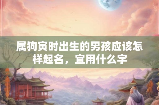 属狗寅时出生的男孩应该怎样起名，宜用什么字