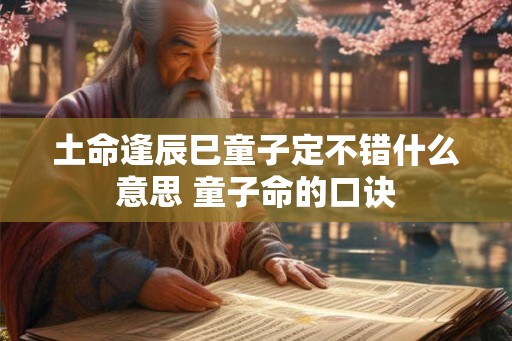 土命逢辰巳童子定不错什么意思 童子命的口诀