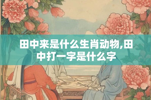 田中来是什么生肖动物,田中打一字是什么字