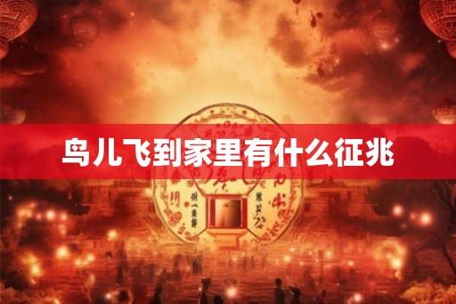 鸟儿飞到家里有什么征兆