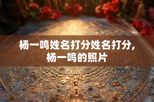 杨一鸣姓名打分姓名打分,杨一鸣的照片