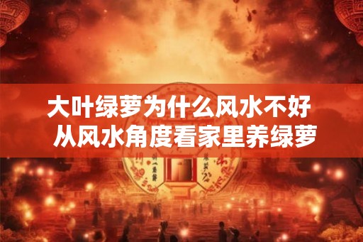 大叶绿萝为什么风水不好  从风水角度看家里养绿萝好不好