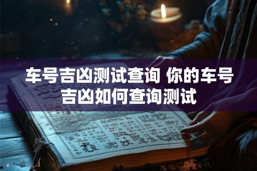 车号吉凶测试查询 你的车号吉凶如何查询测试