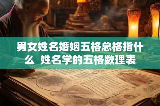 男女姓名婚姻五格总格指什么  姓名学的五格数理表