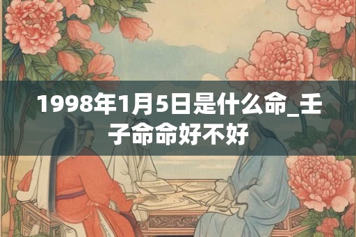 1998年1月5日是什么命_壬子命命好不好 1998年1月5日是什么命_壬子命命好不好