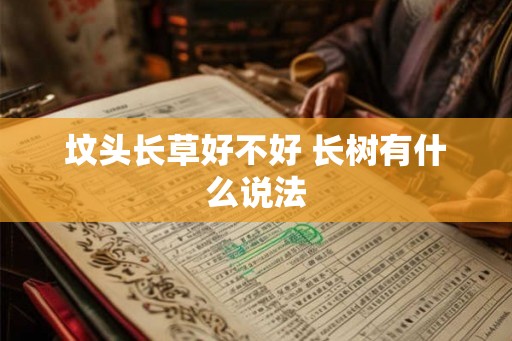 坟头长草好不好 长树有什么说法