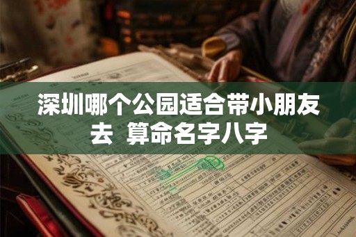 深圳哪个公园适合带小朋友去  算命名字八字