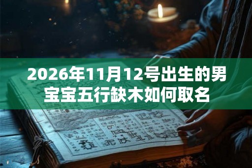 2026年11月12号出生的男宝宝五行缺木如何取名