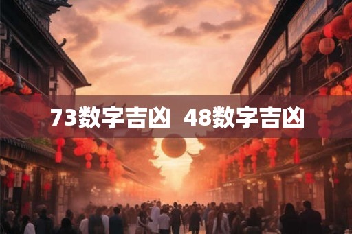 73数字吉凶  48数字吉凶