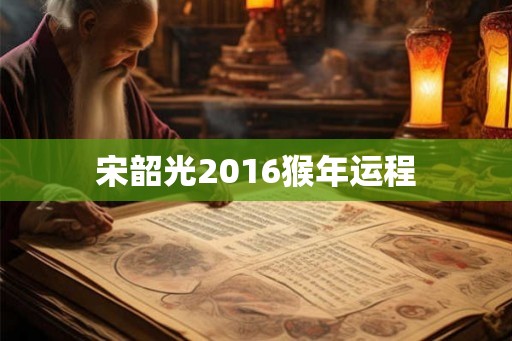 宋韶光2016猴年运程