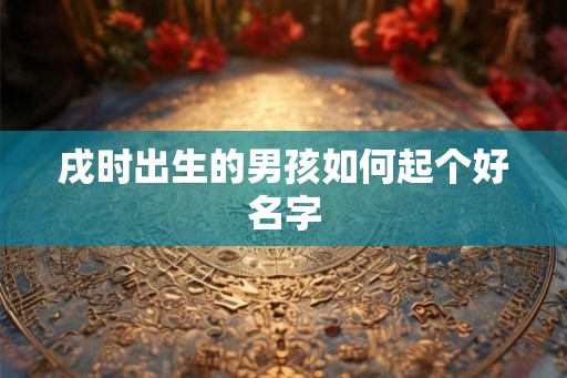 戌时出生的男孩如何起个好名字