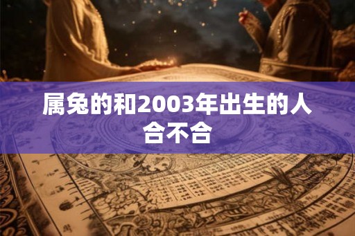 属兔的和2003年出生的人合不合