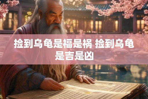 捡到乌龟是福是祸 捡到乌龟是吉是凶