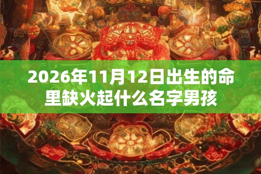 2026年11月12日出生的命里缺火起什么名字男孩