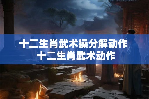 十二生肖武术操分解动作  十二生肖武术动作