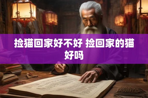 捡猫回家好不好 捡回家的猫好吗