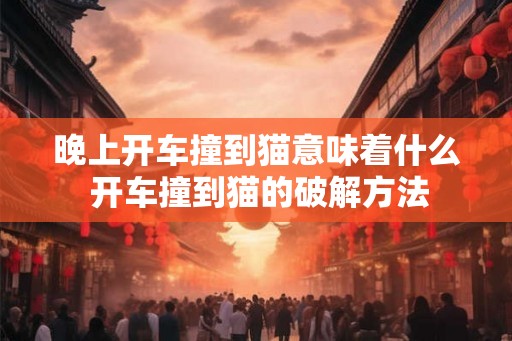 晚上开车撞到猫意味着什么 开车撞到猫的破解方法
