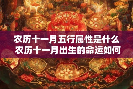 农历十一月五行属性是什么 农历十一月出生的命运如何