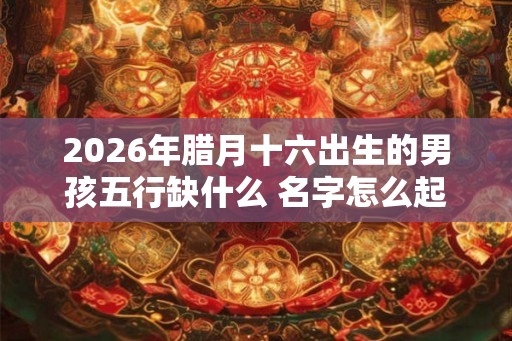 2026年腊月十六出生的男孩五行缺什么 名字怎么起
