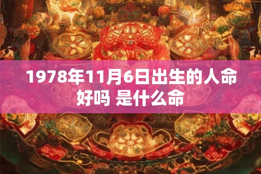 1978年11月6日出生的人命好吗 是什么命