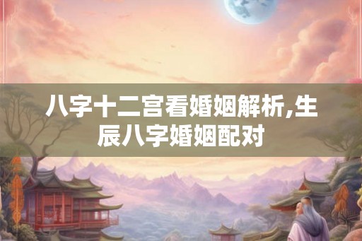 八字十二宫看婚姻解析,生辰八字婚姻配对