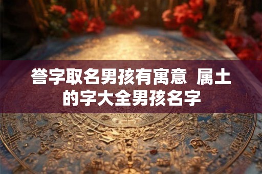 誉字取名男孩有寓意  属土的字大全男孩名字