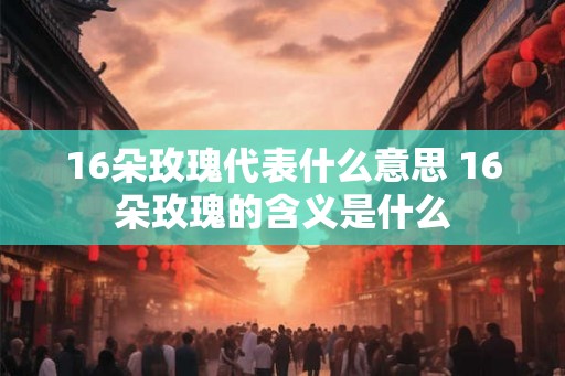 16朵玫瑰代表什么意思 16朵玫瑰的含义是什么 16朵玫瑰代表什么意思 16朵玫瑰的含义是什么